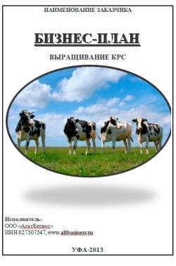 Бизнес-план Выращивание крупно-рогатого скота